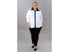 ������ BL22903MIL01