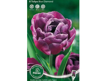 ������� ��� �������.jpg