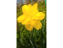 P 20160508 124959 1.jpg