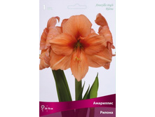 ��������� ������.jpg