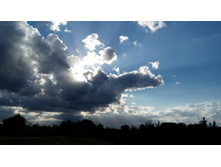 IMG 20170805 175342.jpg