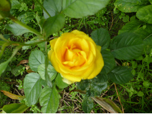 ����������� 065.jpg