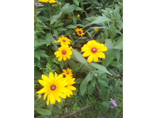 ��������. 30�.