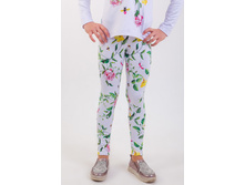 �������� ���� �������.jpg