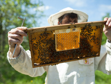 IMG 1661 �����.jpg