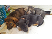 20170828 062113 Richtone(HDR).jpg