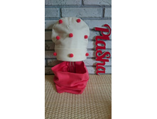 ���. 260, 590 ���.