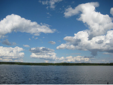 IMG 3785.JPG