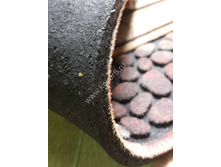 �������������