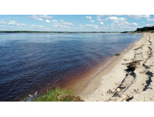 IMG 20170816 133355.jpg