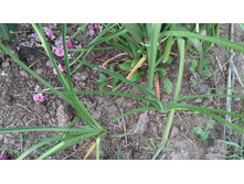 5 ��������.jpg