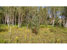 IMG 20170805 150551.jpg