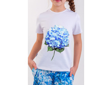 �������� ���� �����.jpg