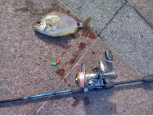 IMG 2016-09-22 153642 HDR.jpg