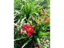 23-150��� ��������.jpg