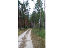 IMG 20170825 111701.jpg