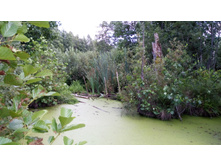 IMG 20170805 141146.jpg