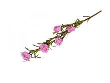 ����� ������������� "�������� ����" ������: 7116-���