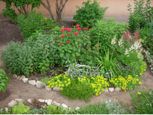 ��� 1001 ����