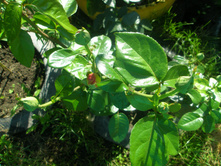 ���� ������ ���.JPG