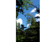 IMG 20170805 130647.jpg