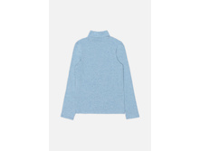 20110100081   Cowslip          (      ).jpg