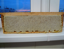 ��������� � ������� �����.JPG