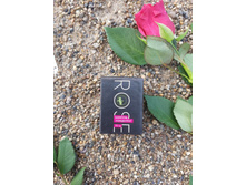 Rose �������-���������� � ۣ���� � ������ ����.jpg