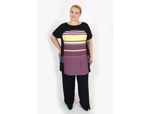 ������ V316.11