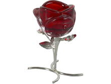 97 ���. - ����������