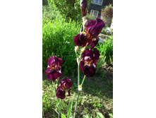 7-110 ���. ����.jpg