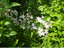 ����������� 082.jpg ����������� ����������������