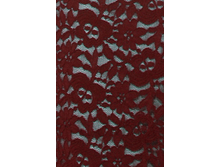 Image262.png