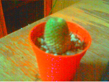 �������9��� ������� �� ������)