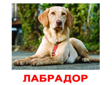 �������� �������� “������ �����” �������: 0386 - 145 ���.