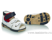 201-50 ������� ���/���/����. ����, ���/2 ������ �.20-23 - 1550 ���