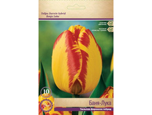 ������� ����-����.jpg