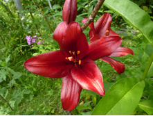 ����������� 087.jpg