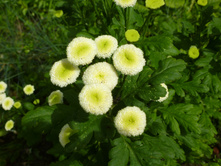 ����������� 073.jpg ����������