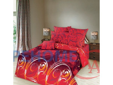 366577 ��� 1,5�� ���� ��� ������� ������ ���� �����.jpg