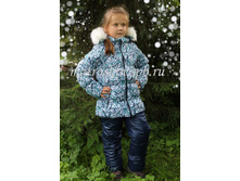 ������ ������ ����  - 3100 ���