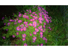 8-80���. �����.jpg