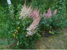 �������� ��������� - 150 ���.