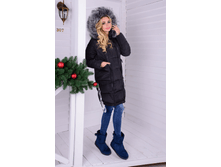 ������� ���� 1819 ������ 3700 ���.