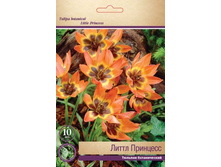 ������� ����� ��������.jpg