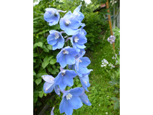 ����������� 075.jpg