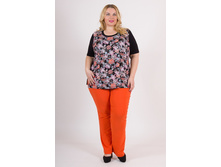 ������ SK005.34