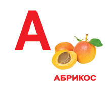 �������� �������� “�������” �������: 1239 - 243 ���.