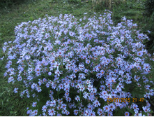 2�-40 ���..JPG