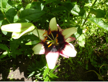 ����������� 077.jpg